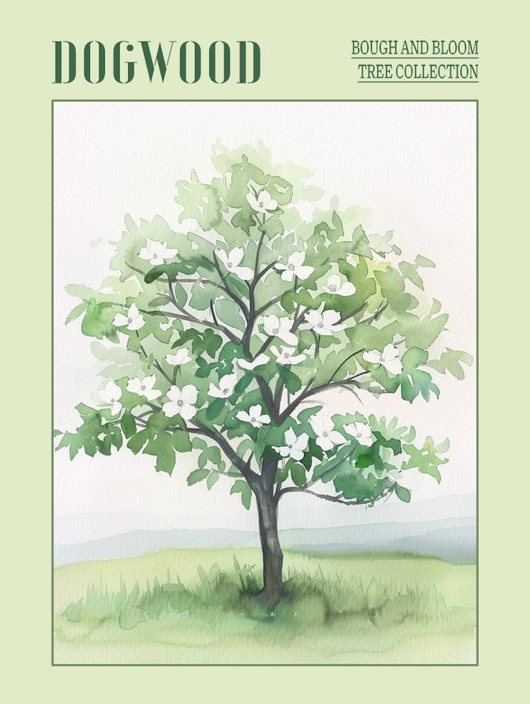 Dogwood Tree Atmospheric Watercolour Painting 3 Poster