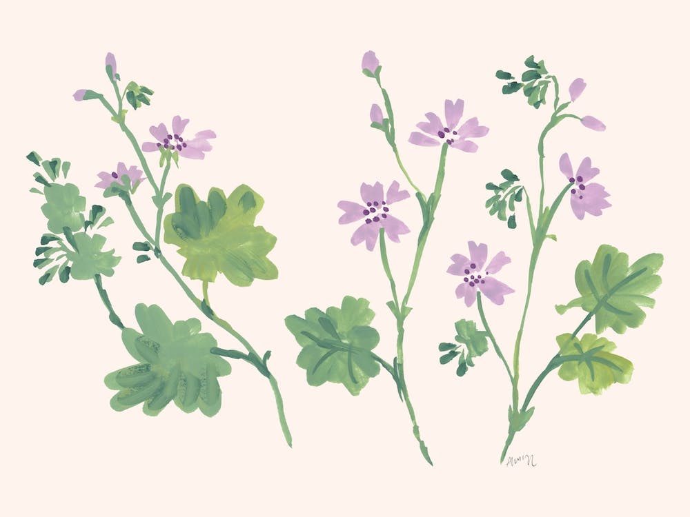 Little Violets