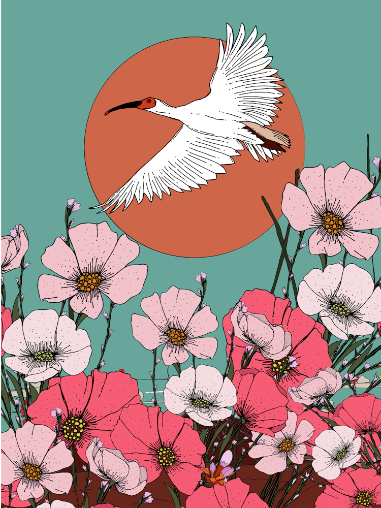 Egret Flying Over Flowers