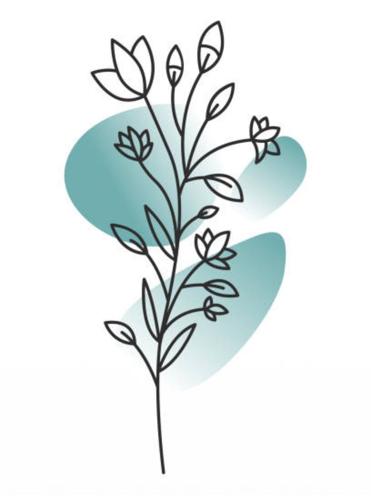 Blume 1