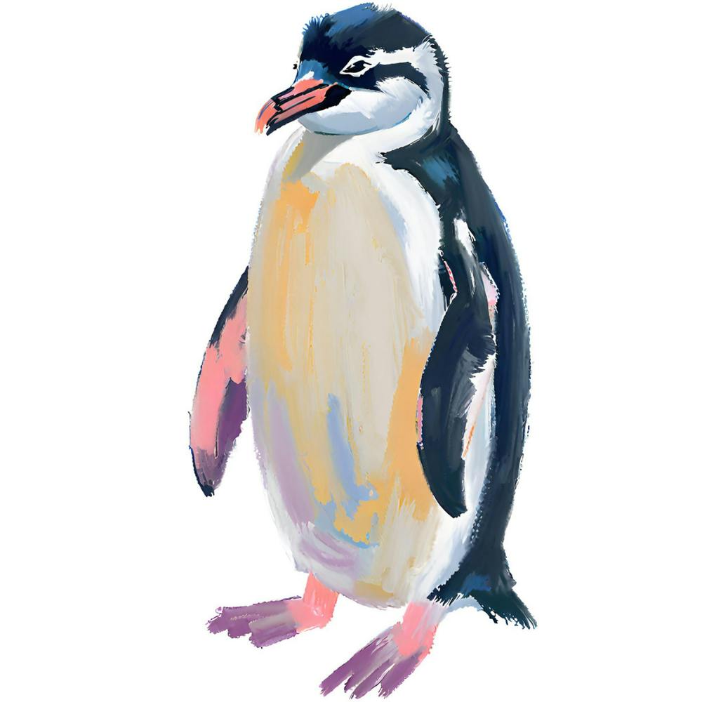 Chinstrap Penguin 04