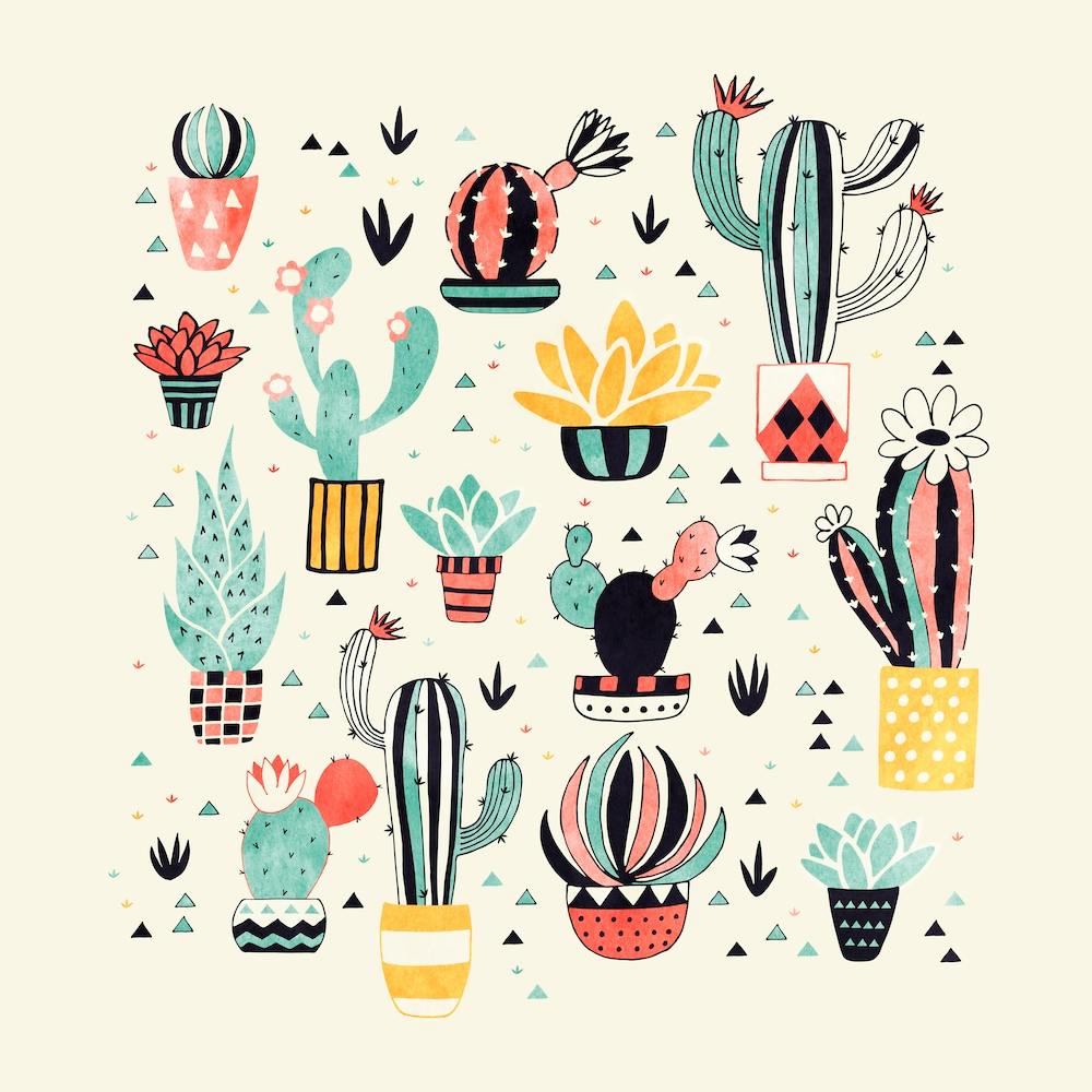 Cacti In A Flower Pot