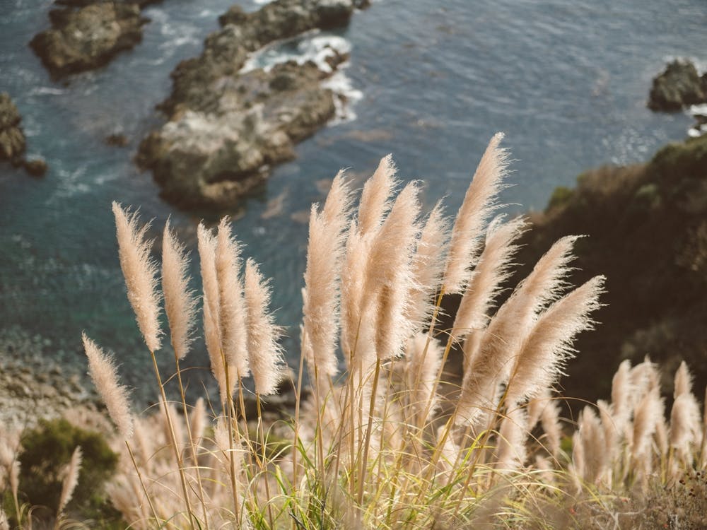 Big Sur No 10