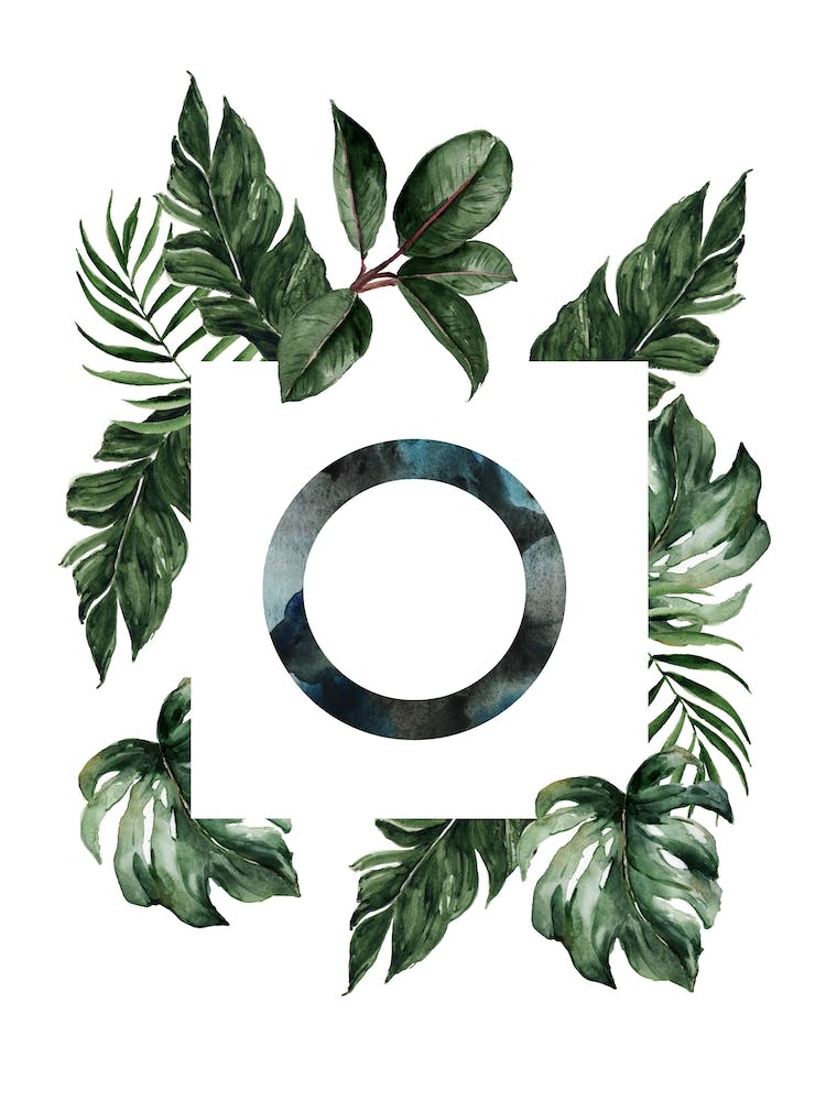 Botanical Alphabet O