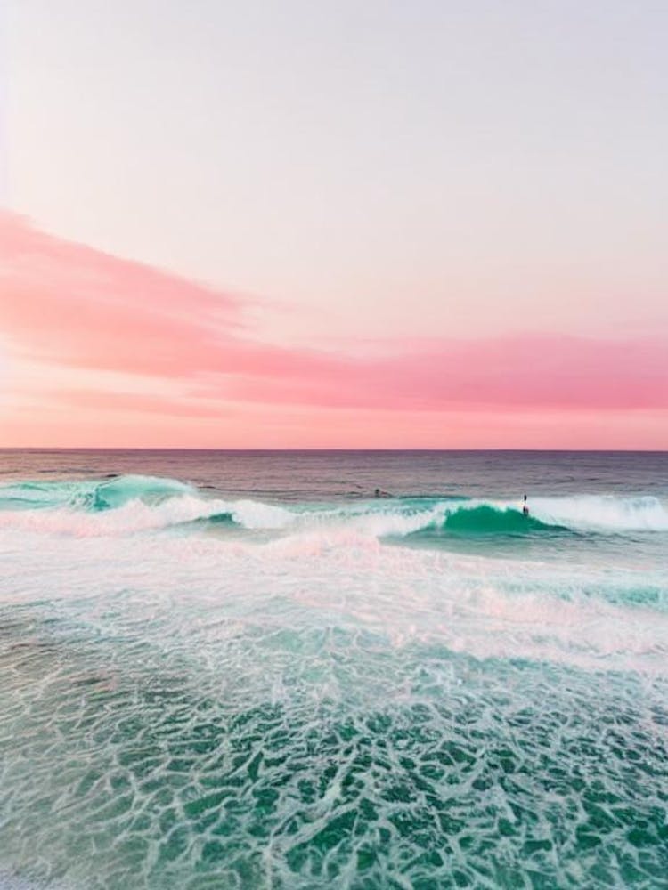 Esperance Beach, Australia Rosa Fotografie 2