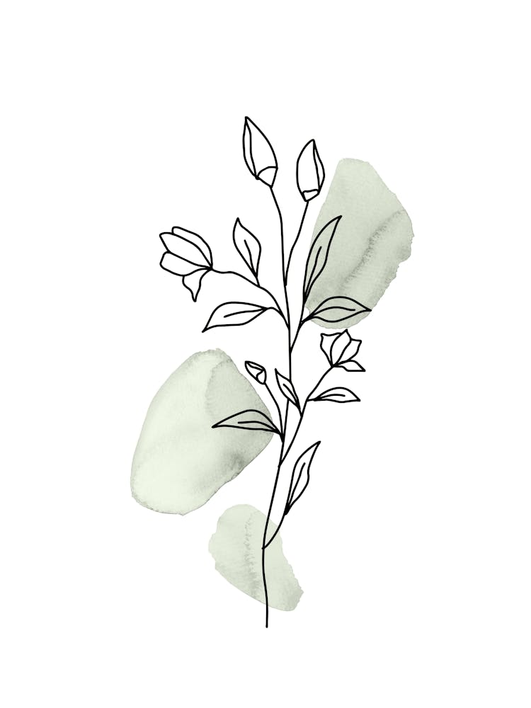 Boho Botanical, Line Wildflower, Sage Green Watercolor