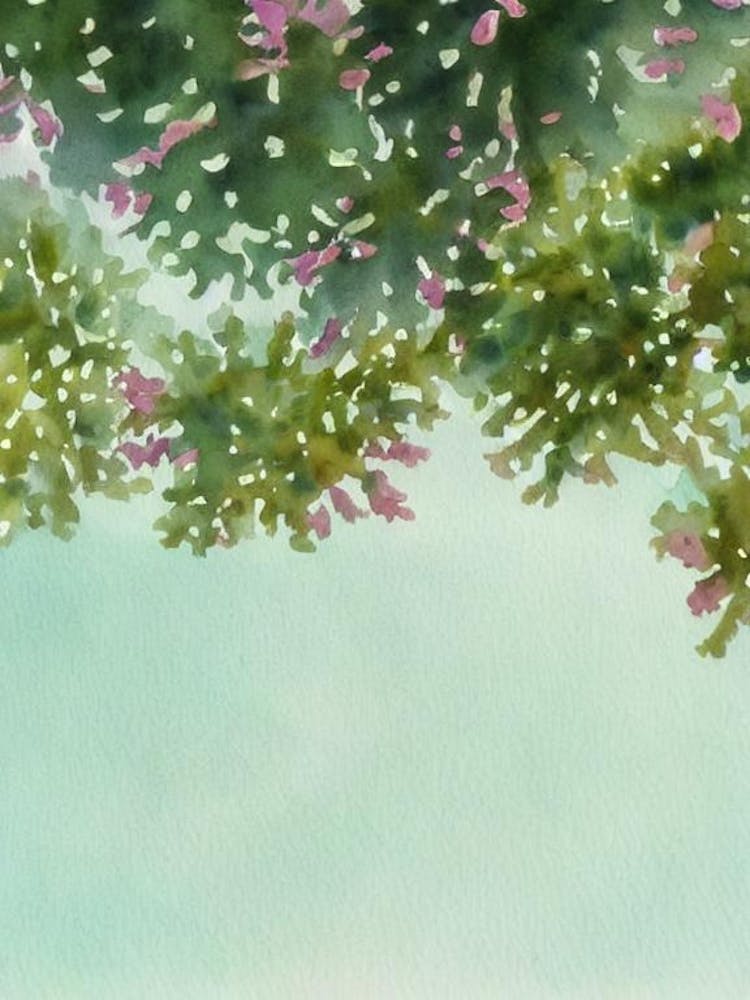 Acropora Gemmifera V Storybook Watercolour