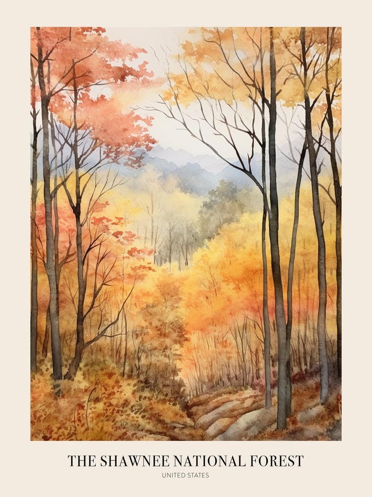 Autumn Forest Landscape The Shawnee National Forest 1 Poster