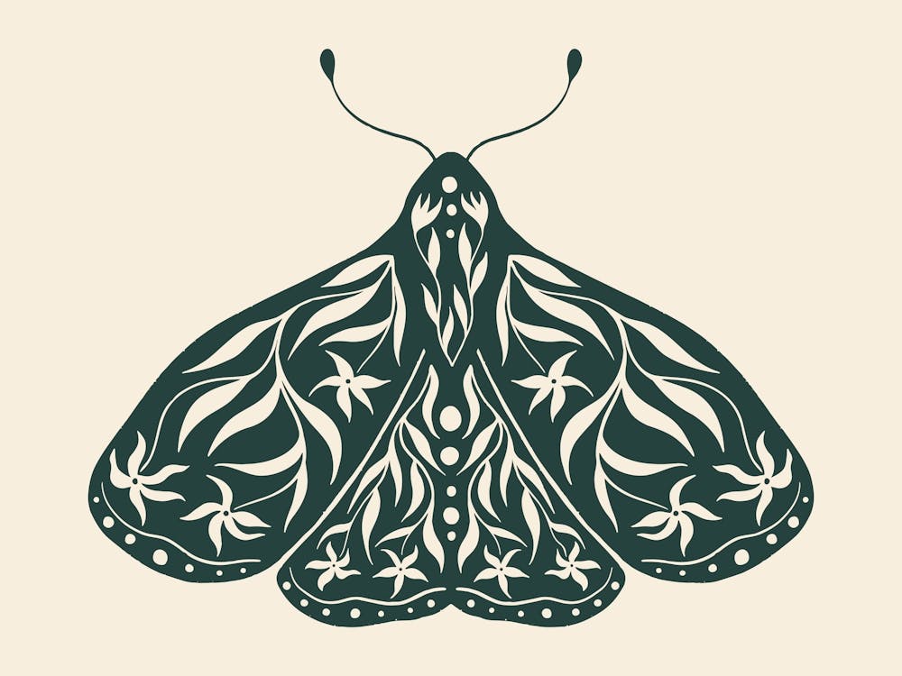 Folk Art Moth 01 - Midnight Green