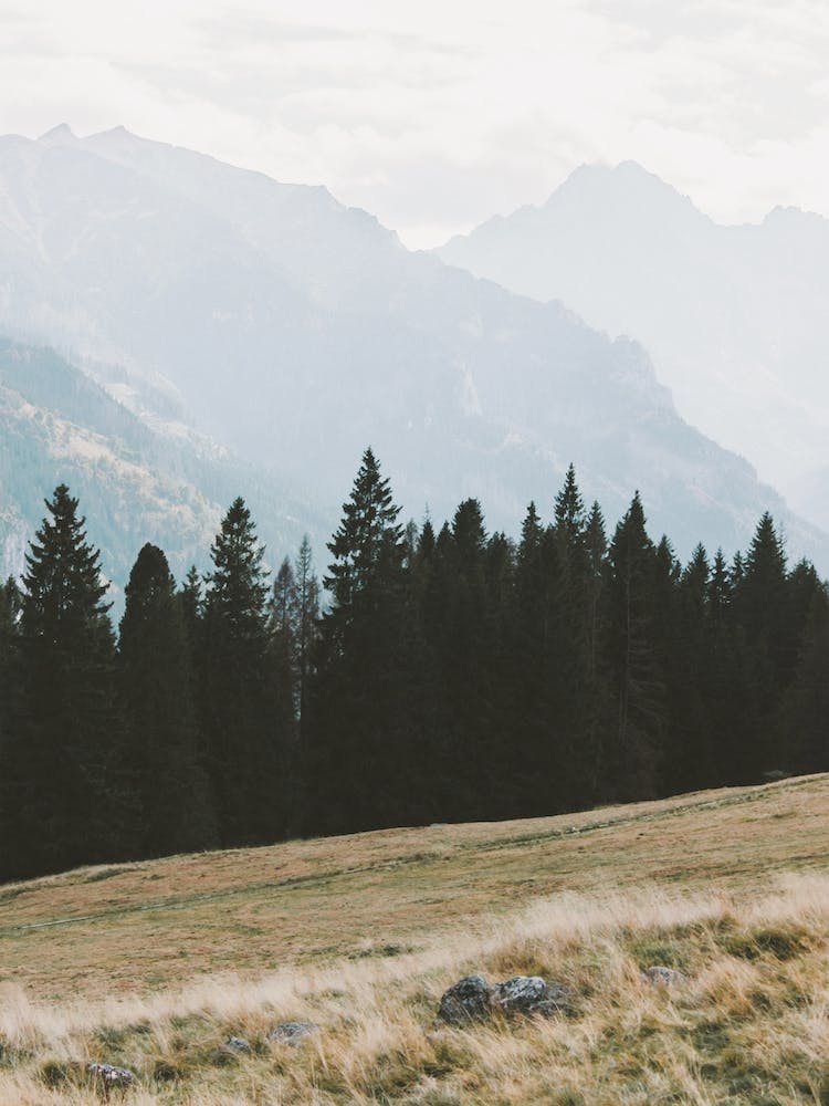 Montana Mountains