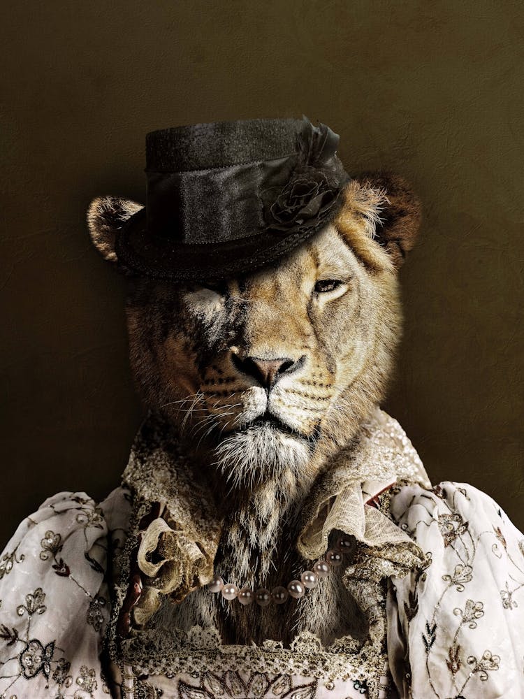 Victorian Lioness
