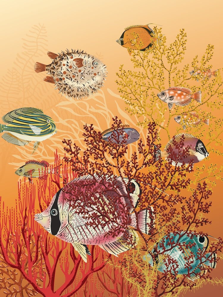 Coral Reef Deep Silence 2