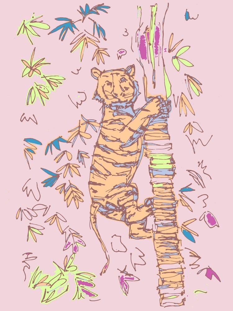 Climbing Tiger Purple