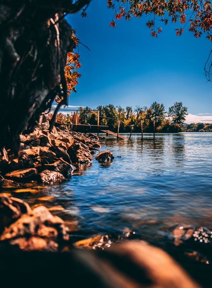 Autumn On The River