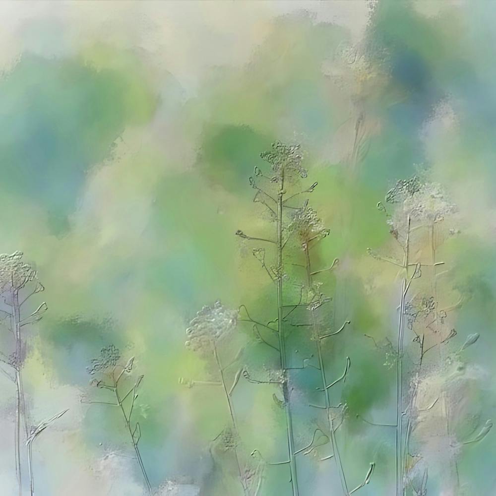 Abstraction d'Herbes