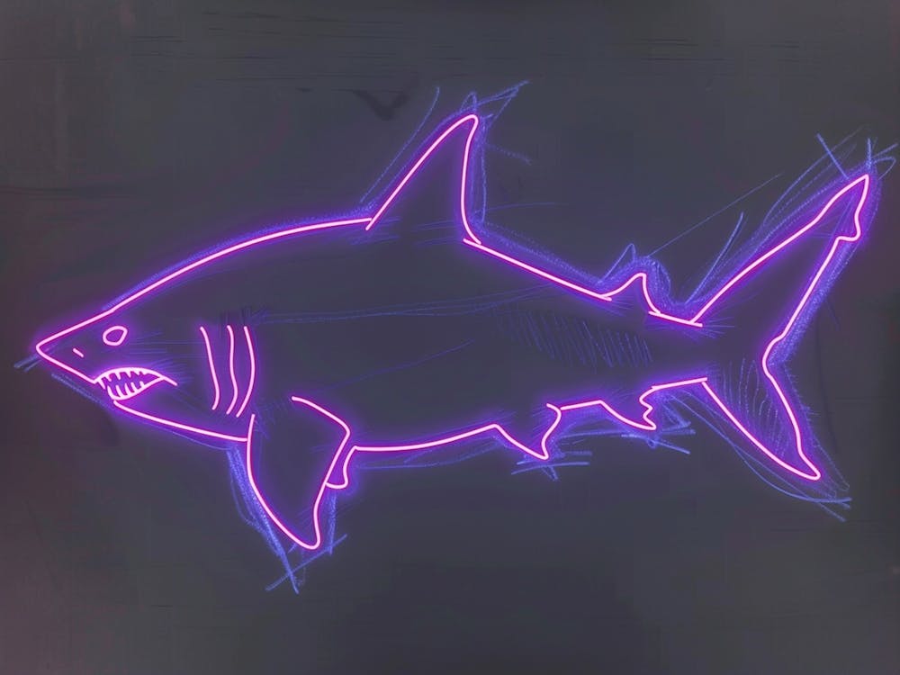 Neon Purple Bull Shark 1