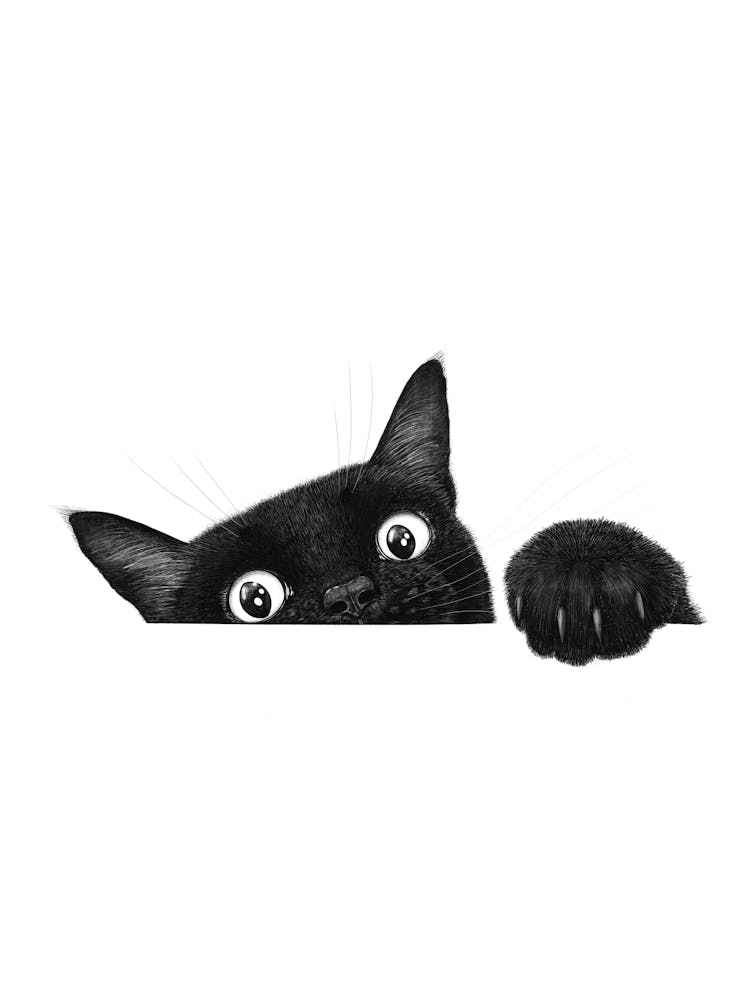 Cute Cat