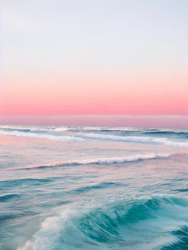 Coral Beach, Australia Pink Photography 1