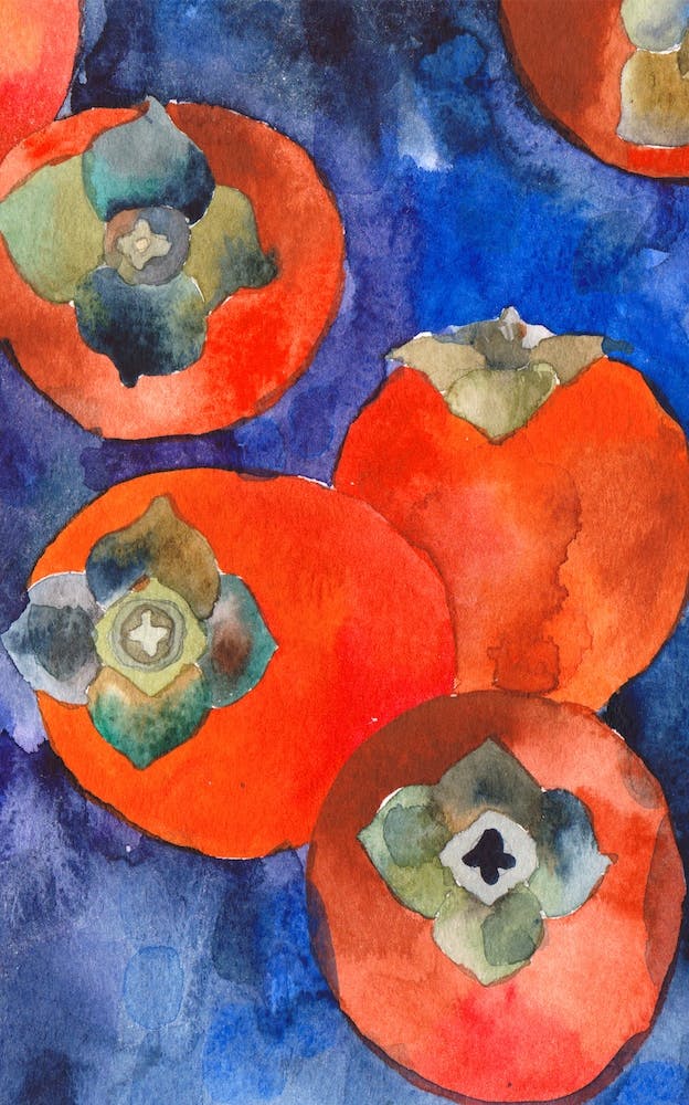 Watercolour Persimmones