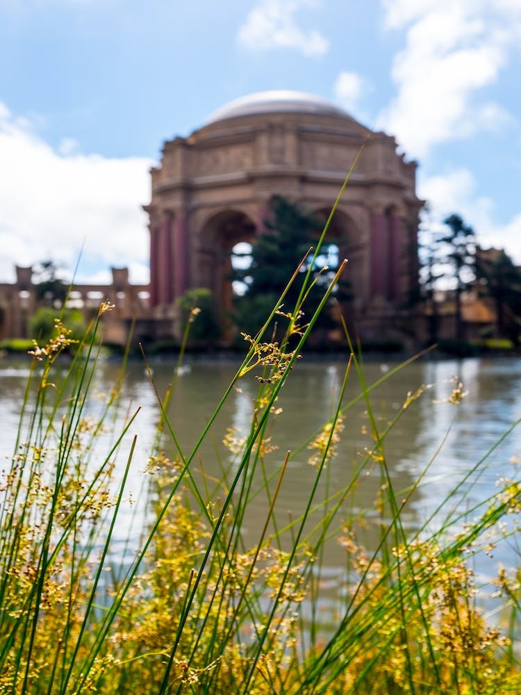 Palace of Fine Arts