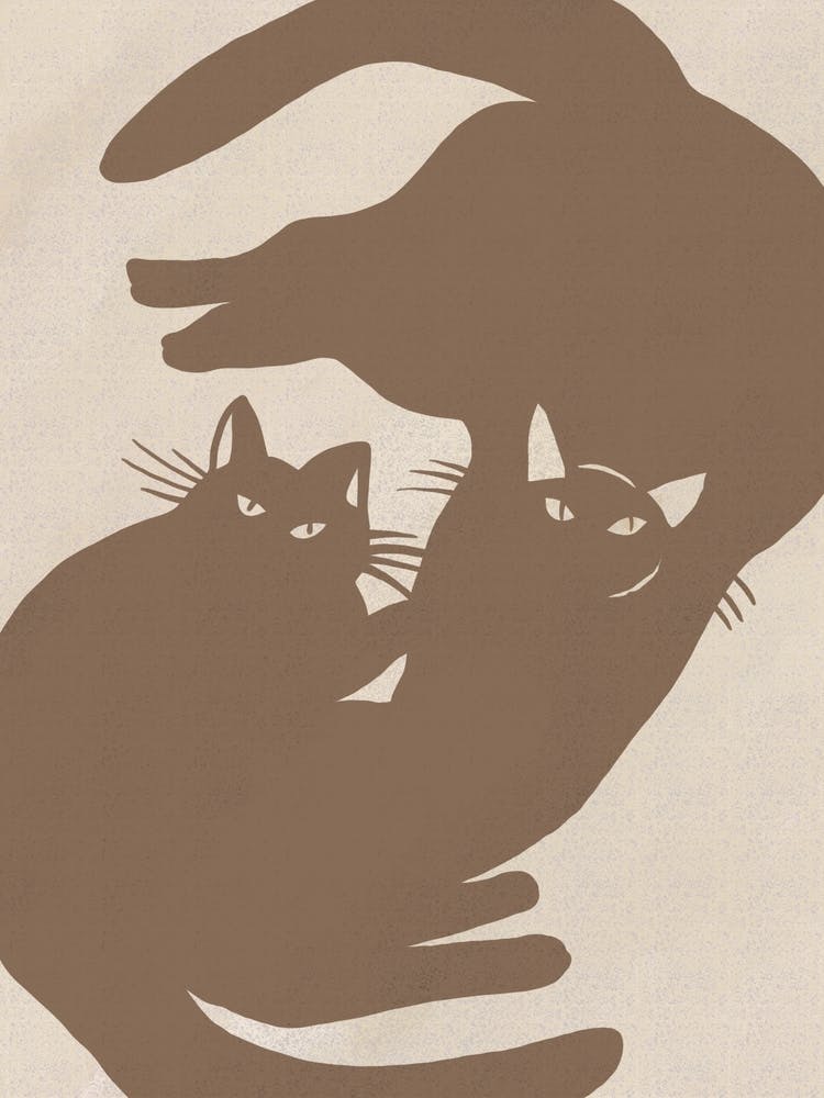 Silhouette de Deux Chats
