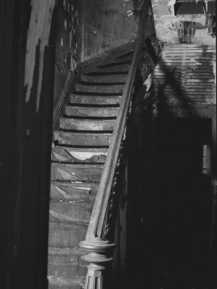 Staircase In Hall Of Apartment Buildings, This House Is Now Vacant After Fire, Chicago, Illinois By Russell Lee