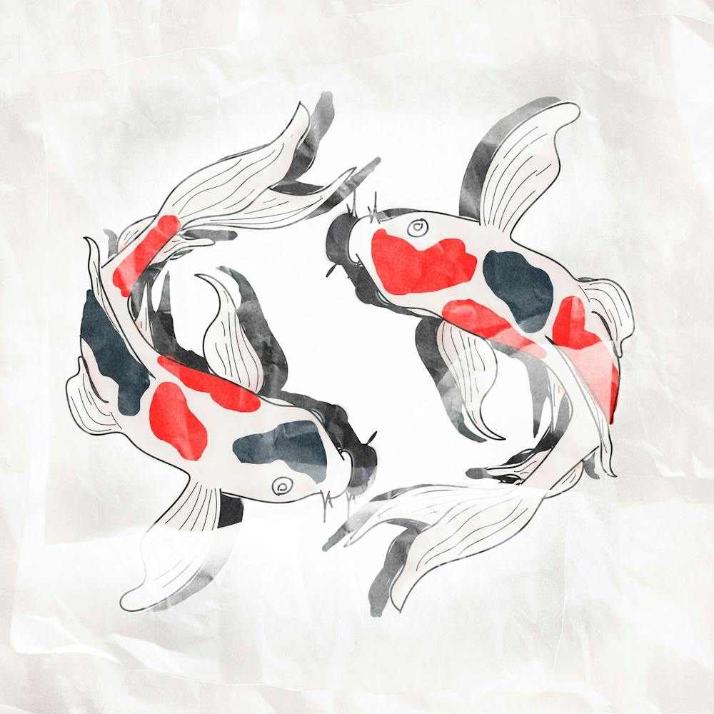 Fish Carp Koi Drawing Cartoon