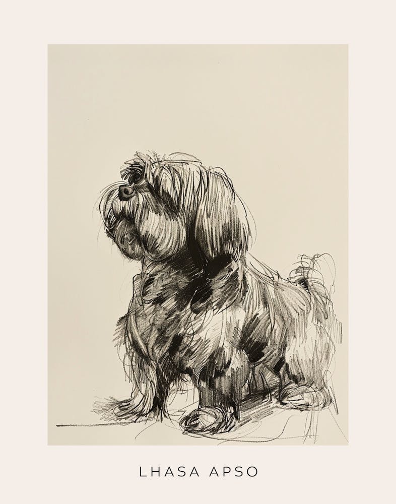 Lhasa Apso Dog Line Sketch 1 Poster