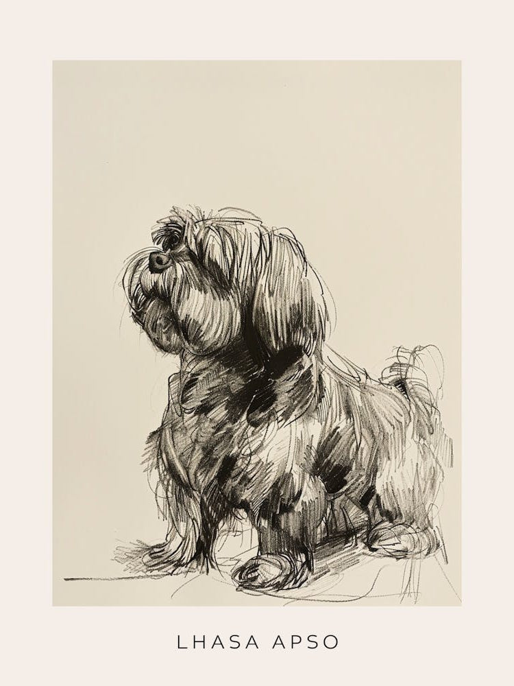 Lhasa Apso Dog Line Sketch 1 Poster