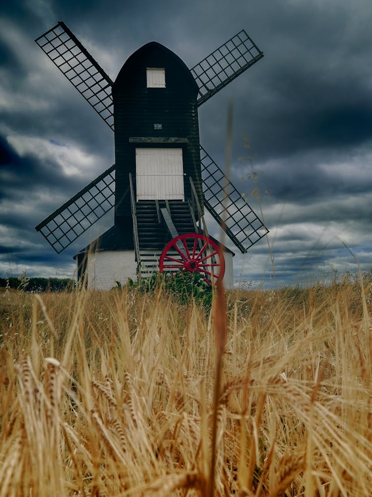 Windmill In Wheat Field