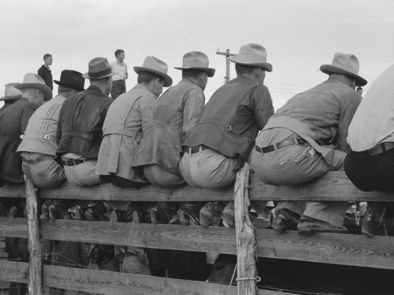 Untitled Photo, Possibly Related To West Texans Sitting On Fence At Horse Auction, Eldorado, Texas By Russell Lee