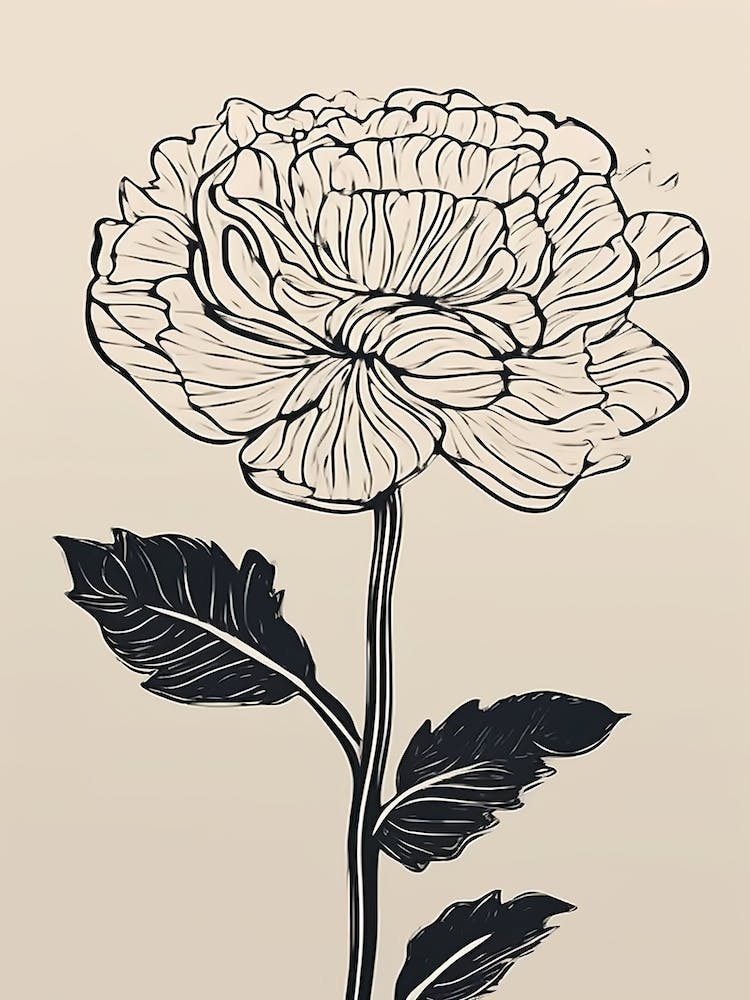 Line Art Marigold Flowers Illustration Neutral 20