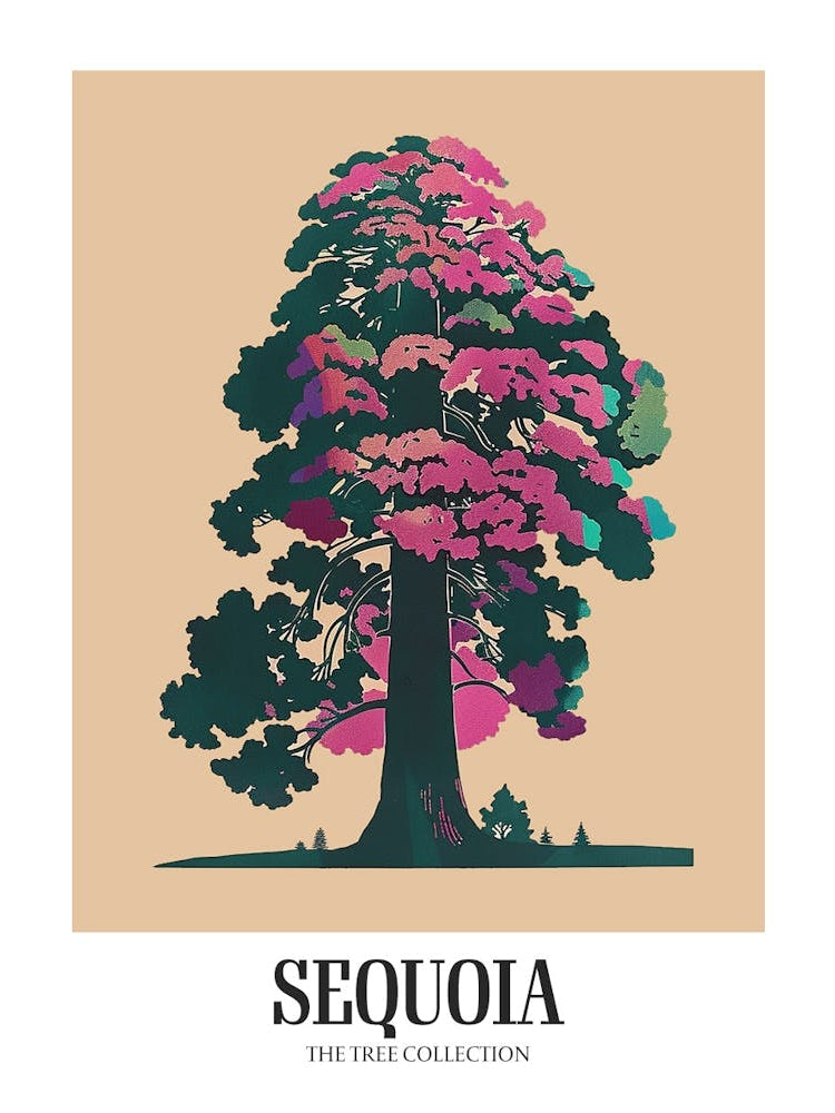 Sequoia Tree Colourful Illustration 1 Poster