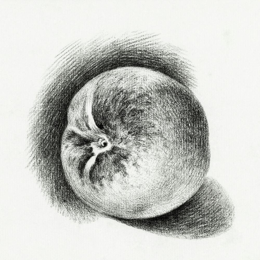 Apple (1812), Jean Bernard