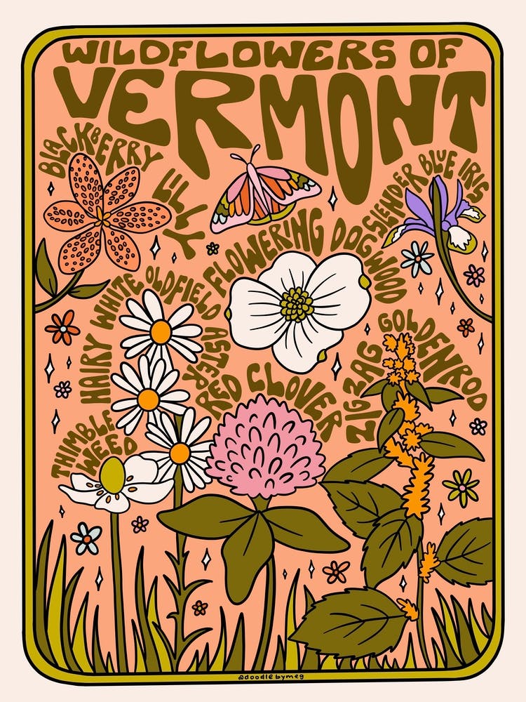 Vermont Wildflowers