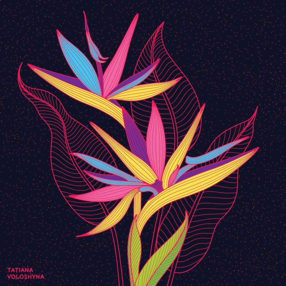 Strelitzia Flowers Square