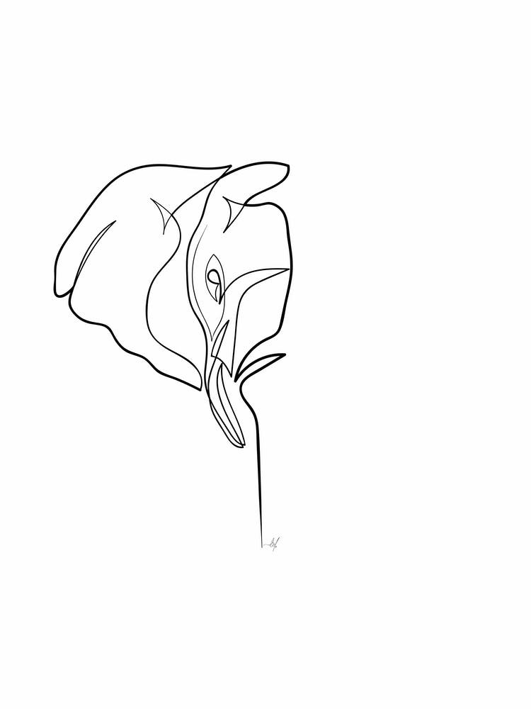 Elephant 02