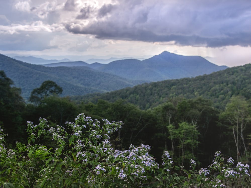 Blue Ridge Mountains - Shenandoah National Park