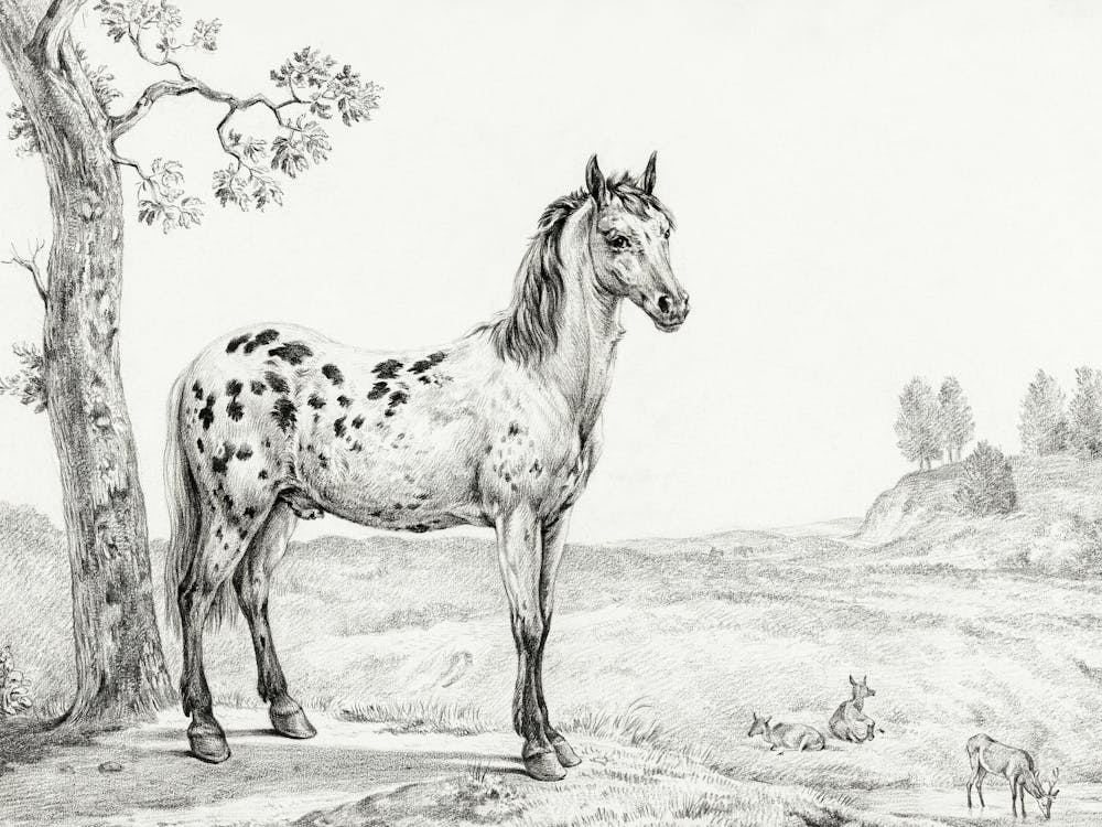 Standing Mottled Horse, Jean Bernard