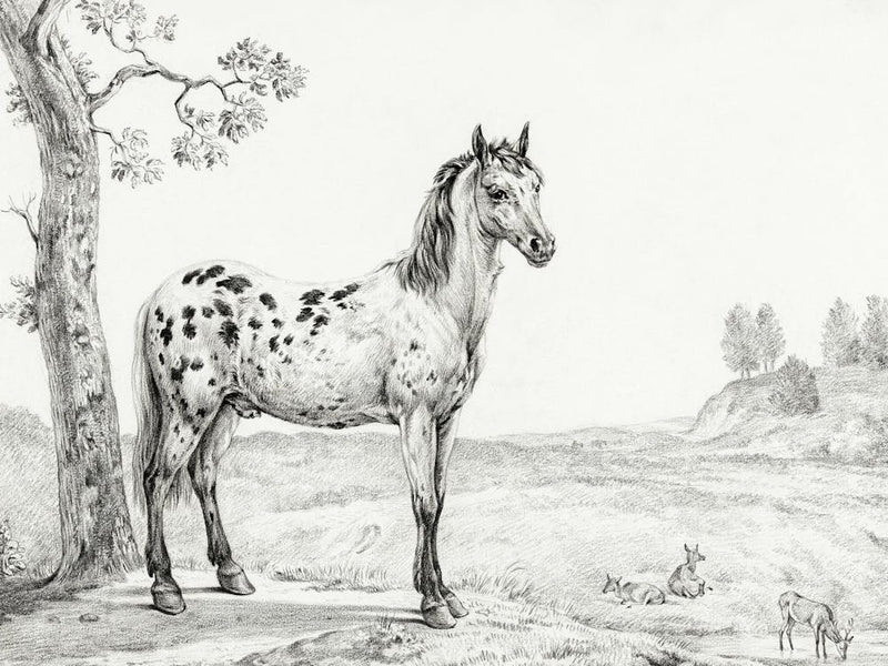 Standing Mottled Horse, Jean Bernard