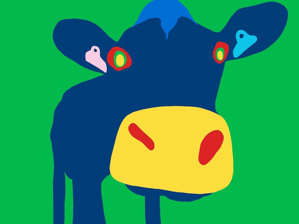 Vache en gros plan