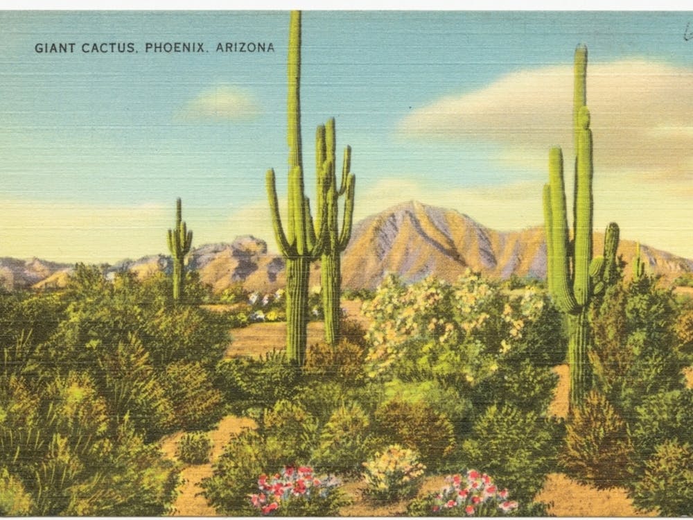 Giant cactus, Phoenix, Arizona