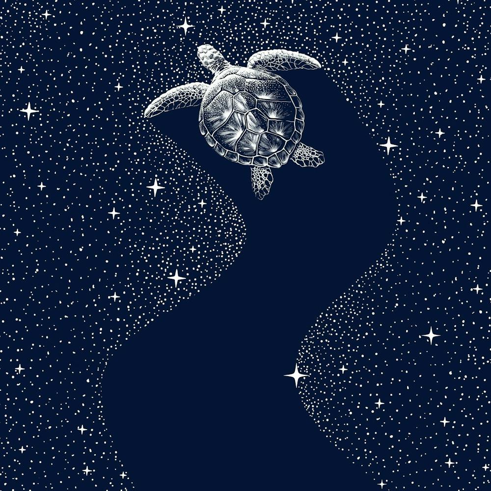 Starry Turtle SQUARE