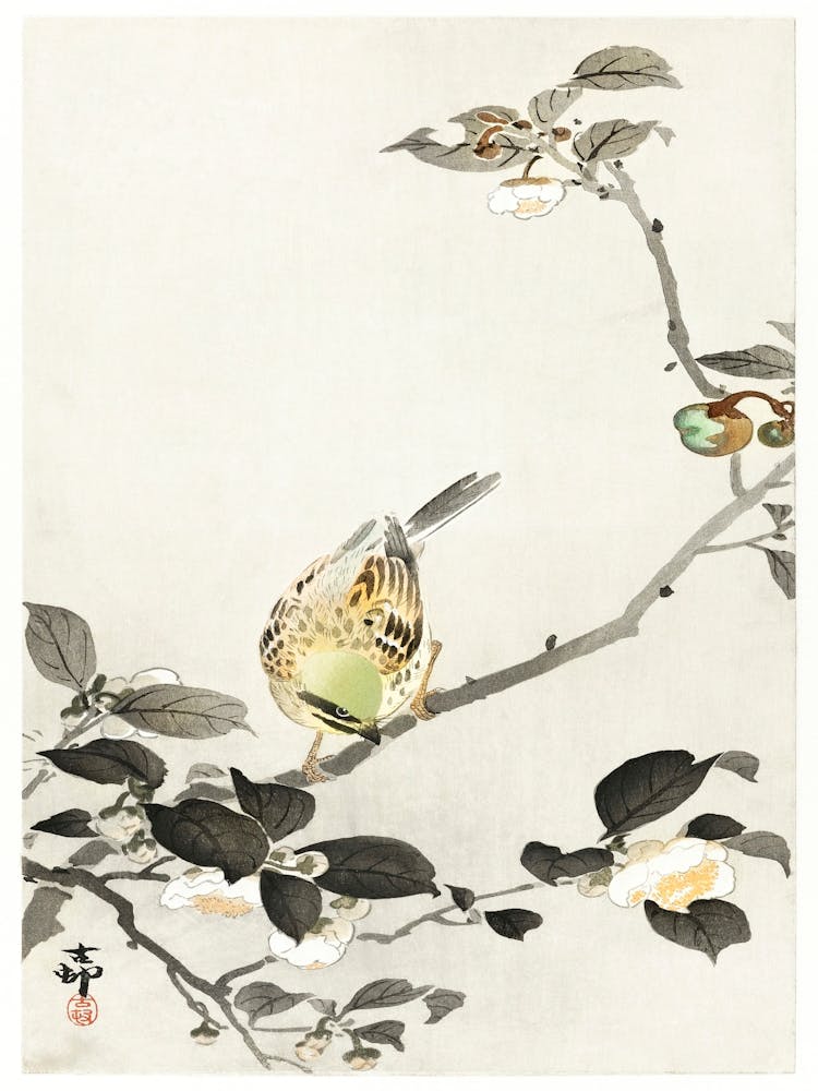 Bunting On Blossom Branch (1900 1930), Ohara Koson