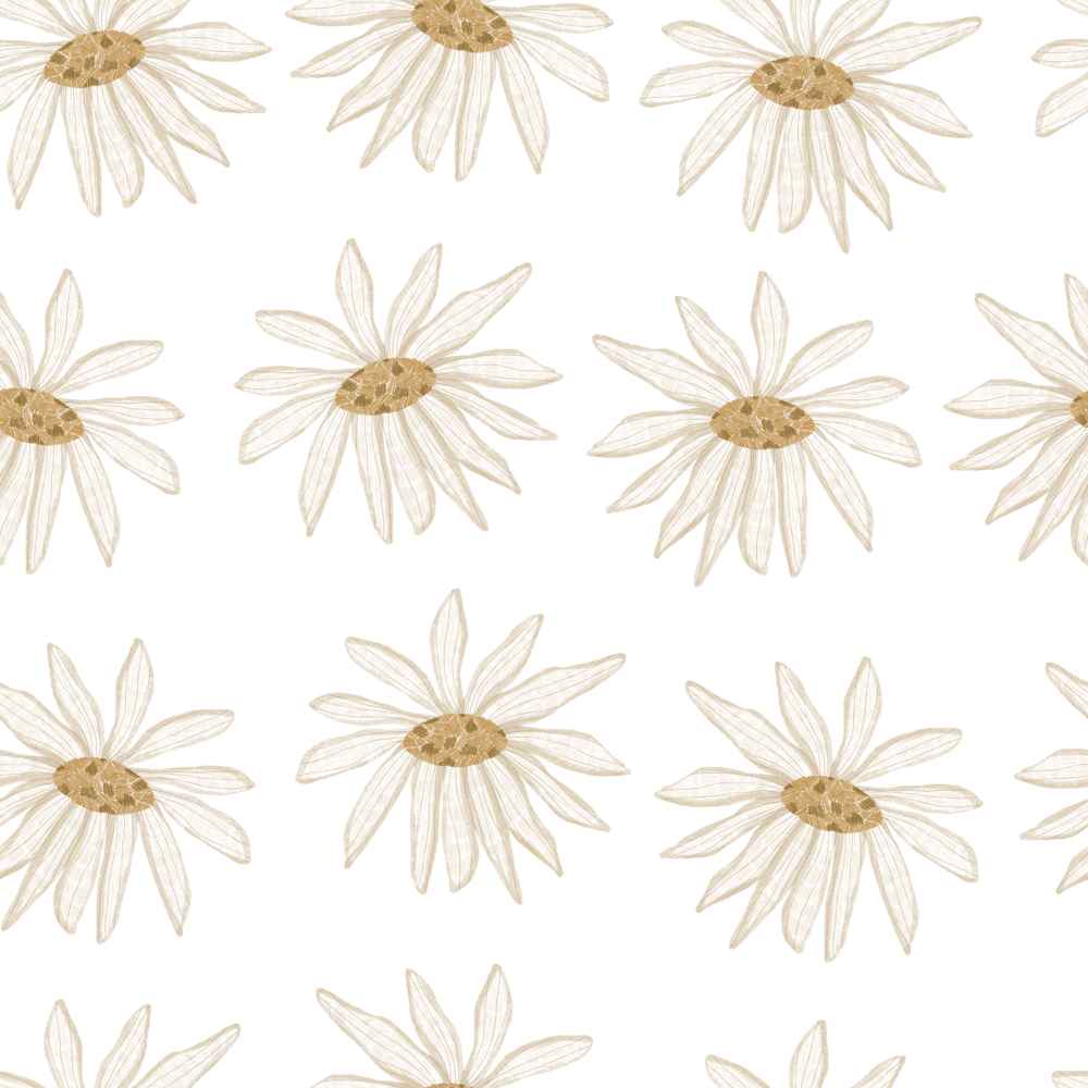 Sanfte weiße Gänseblümchen