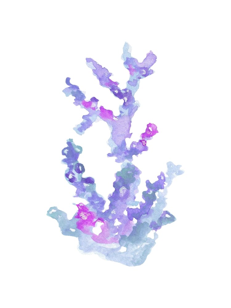 Watercolor Seaweed 1