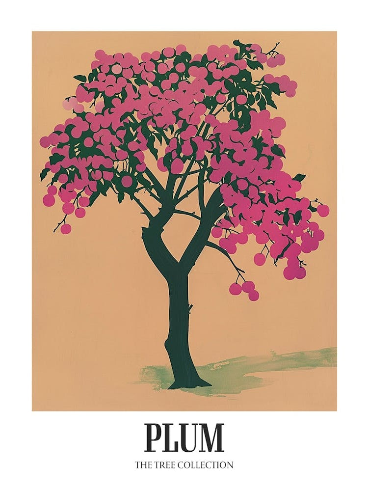 Plum Tree Colourful Illustration 3 Poster