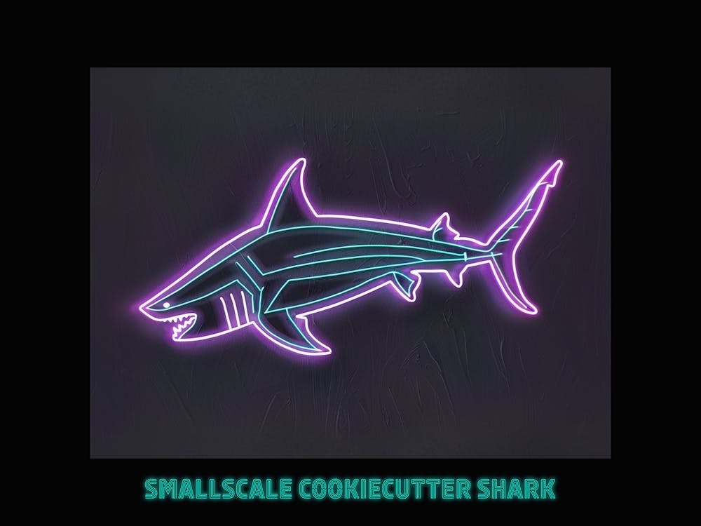 Neon Purple Smallscale Cookiecutter Shark 1 Poster
