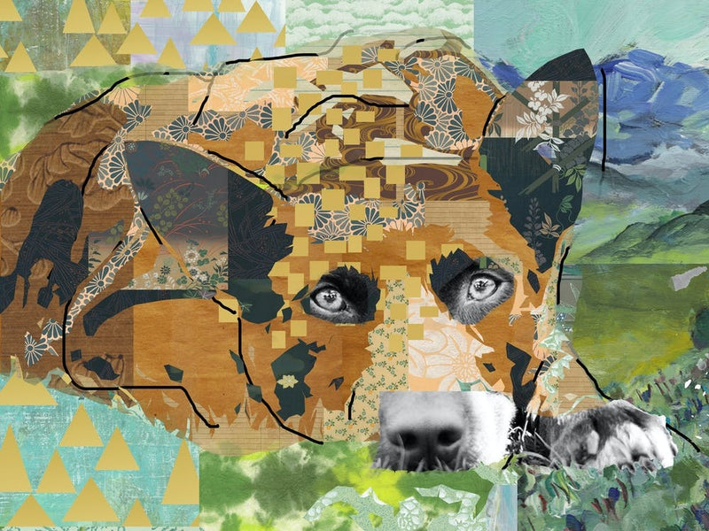 Dreamy dog