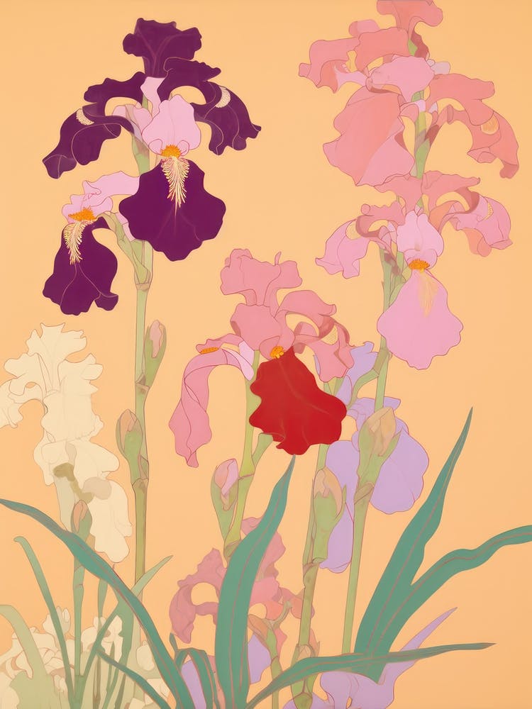 Irises Flower Big Bold Illustration 3